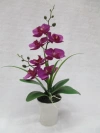 S18123-016 High-end artificial flower home beauty display rose potted plastic flower details Picture
